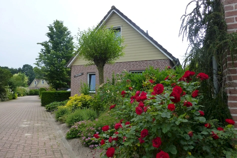 Bungalowpark De Riethorst