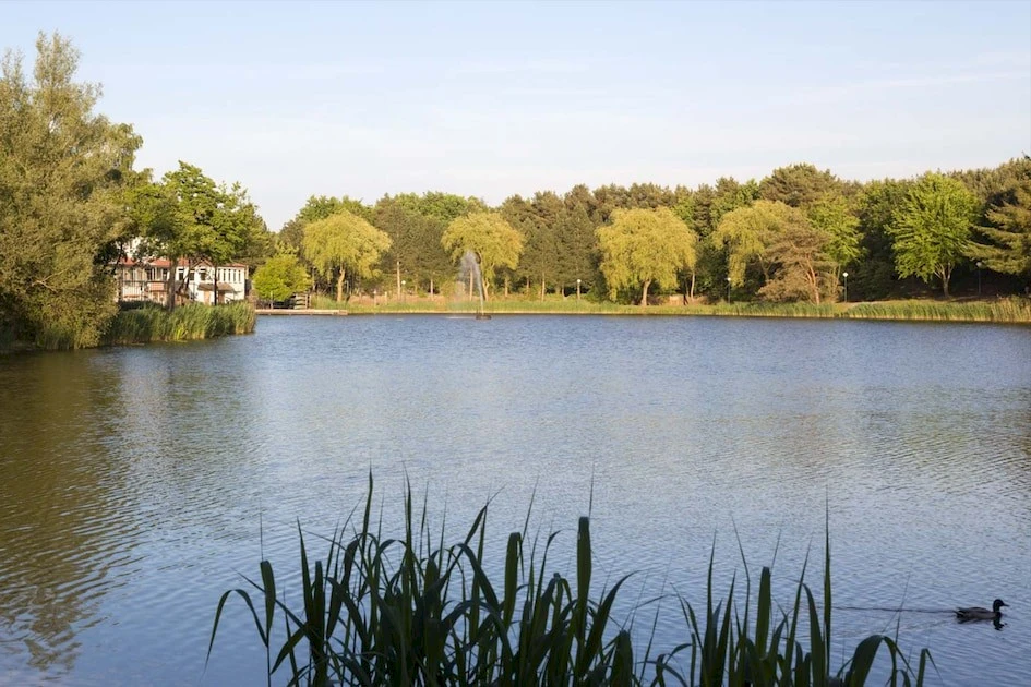Weerterbergen