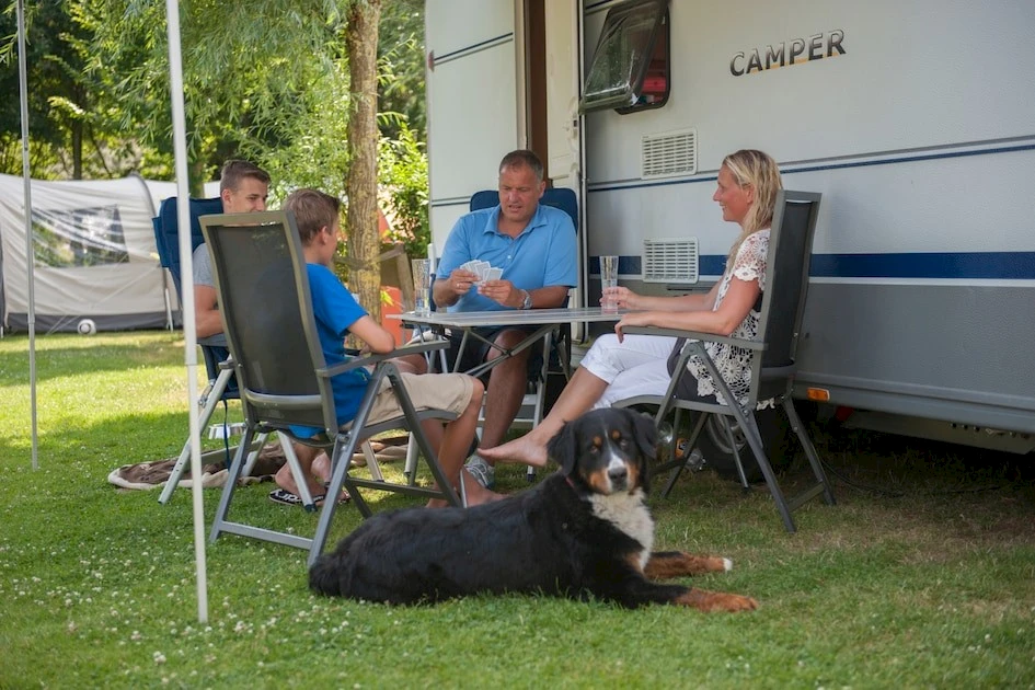 Camping Dishoek
