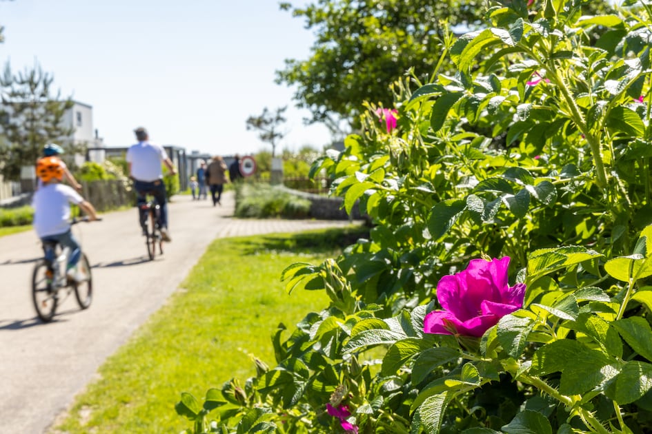 Vakantiepark Callassande