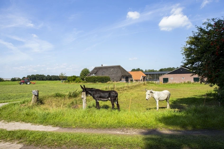 Het Wesselink