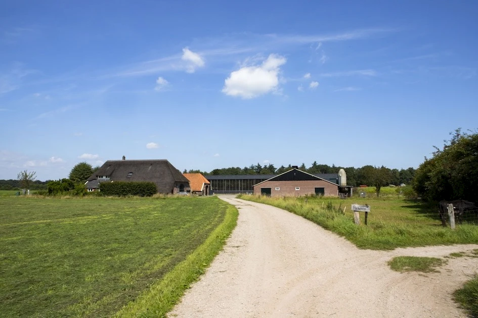 Het Wesselink