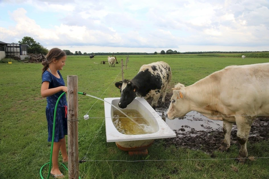 De Brabantse Hei