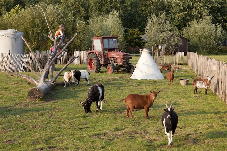 Hoeve De Pippert