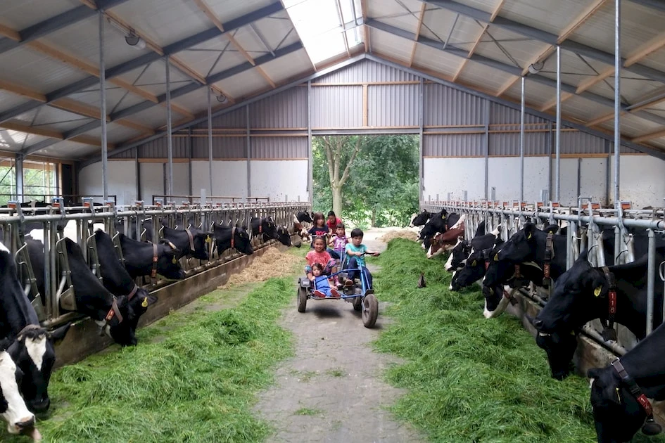 Hoeve De Pippert