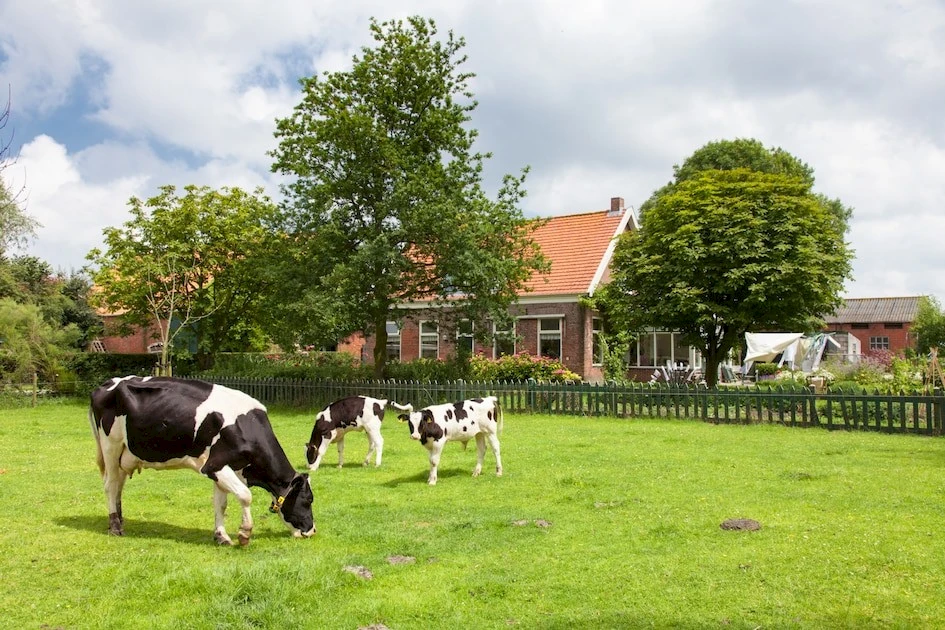 Hoeve Zeeland