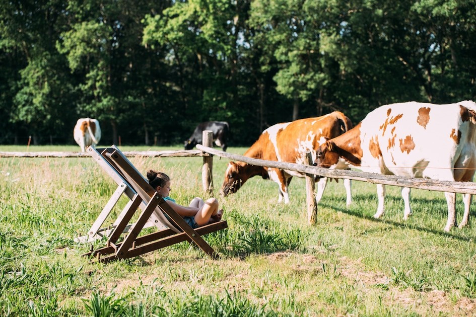 Hoeve Zeeland
