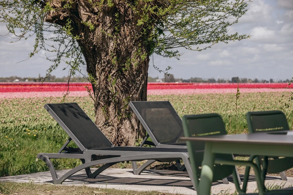 Roompot Park Wijdenes