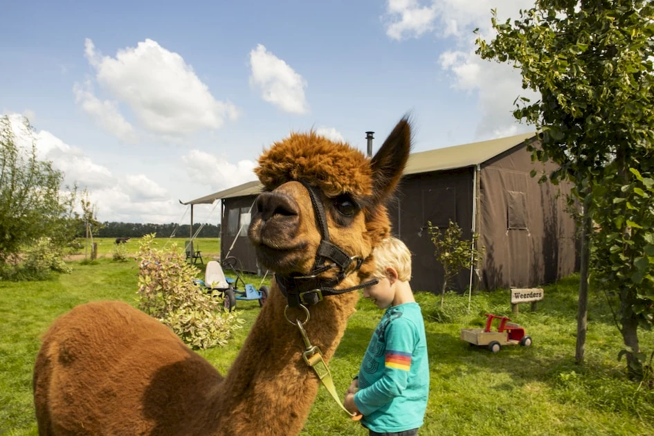 Hoeve de Betuwe