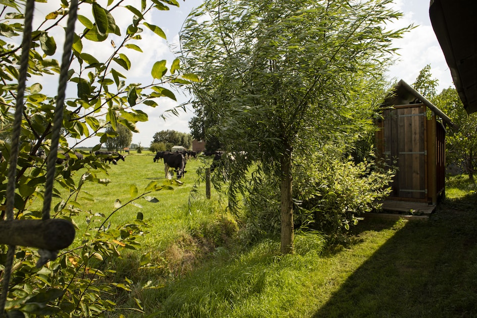 Hoeve de Betuwe