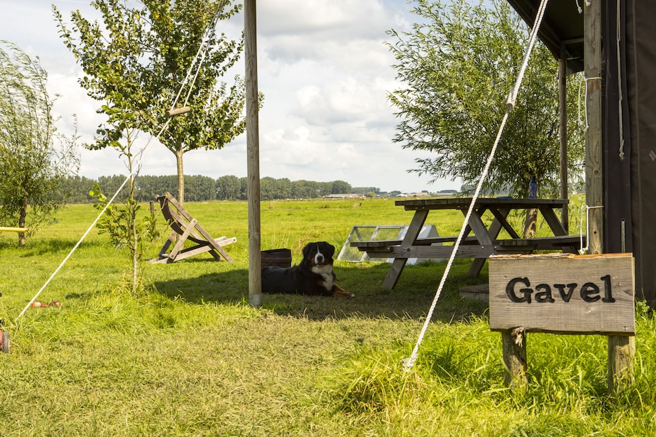 Hoeve de Betuwe
