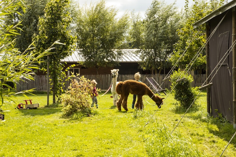 Hoeve de Betuwe