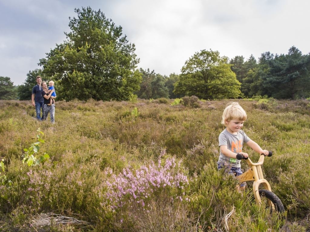 Landal Drentse Lagune
