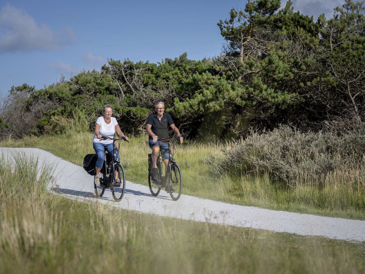 Landal West Terschelling
