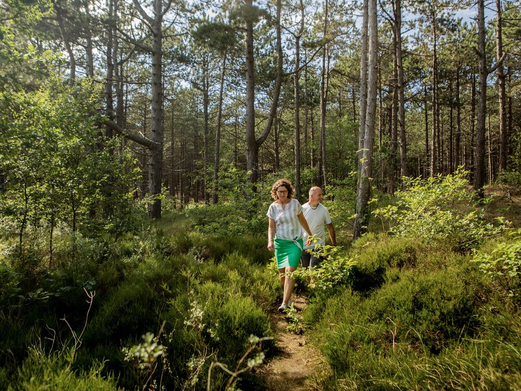 Landal West Terschelling