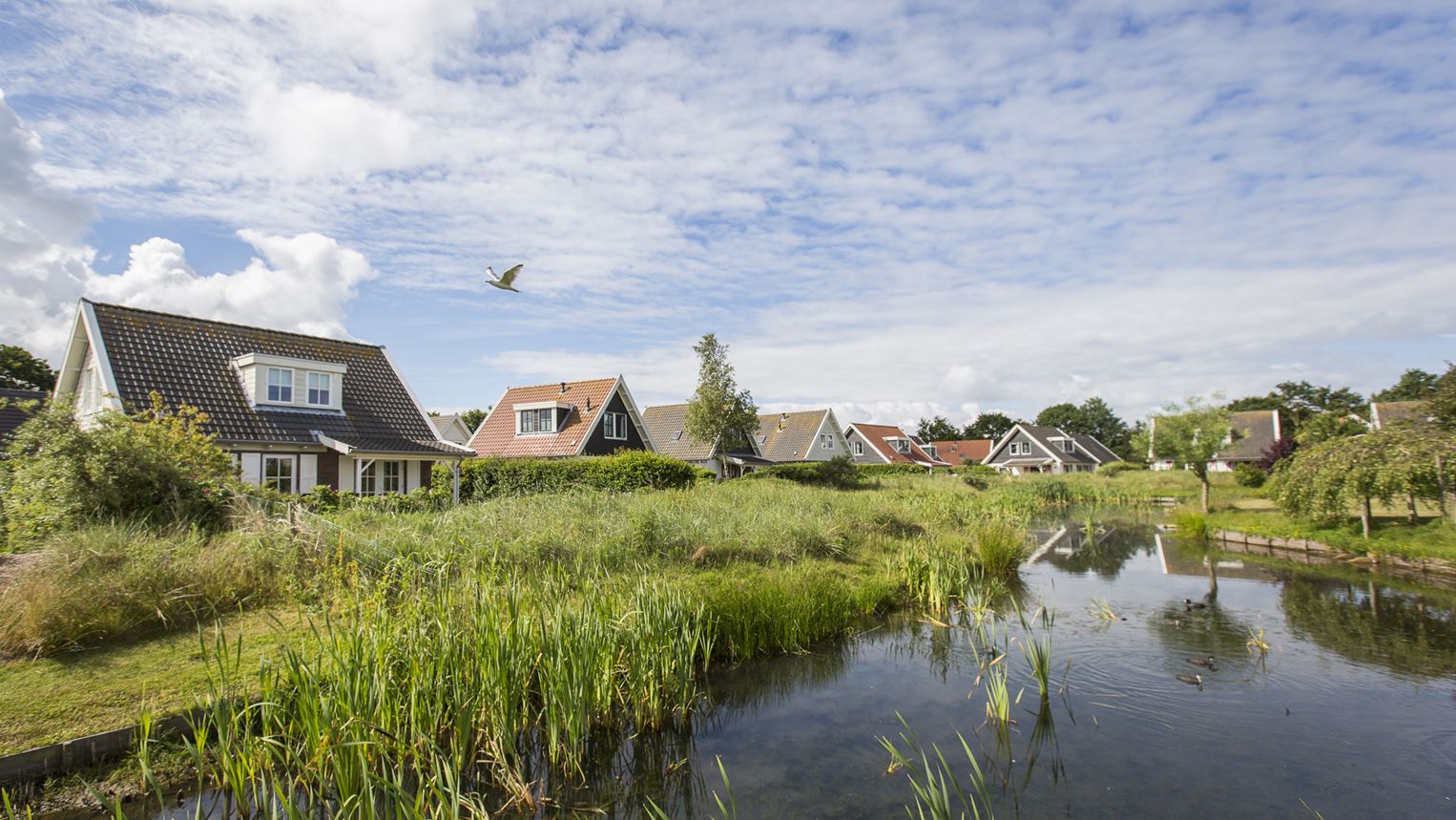 Landal Duinpark 't Hof van Haamstede