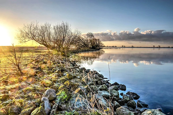 Zuid-Holland