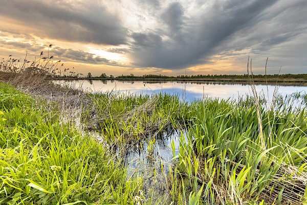 Noord-Brabant