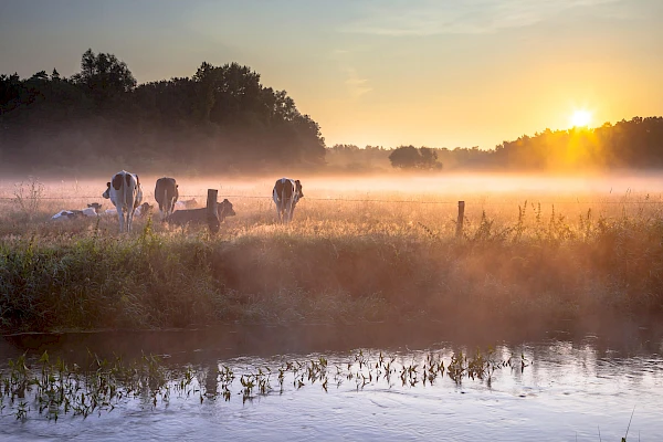 Drenthe
