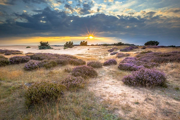 Europarcs Gelderland