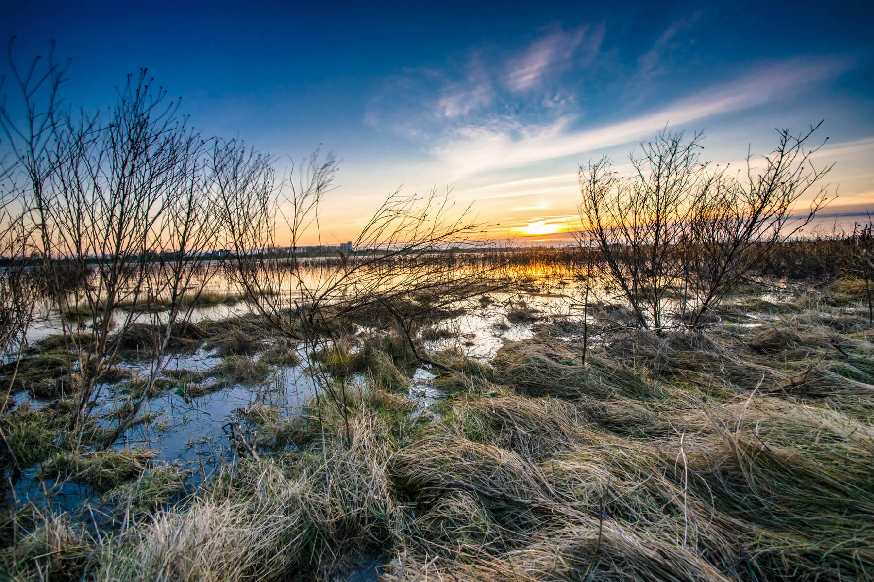 Camping Overijssel
