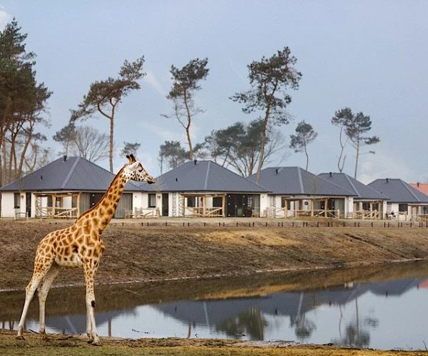 Safari Resort Beekse Bergen