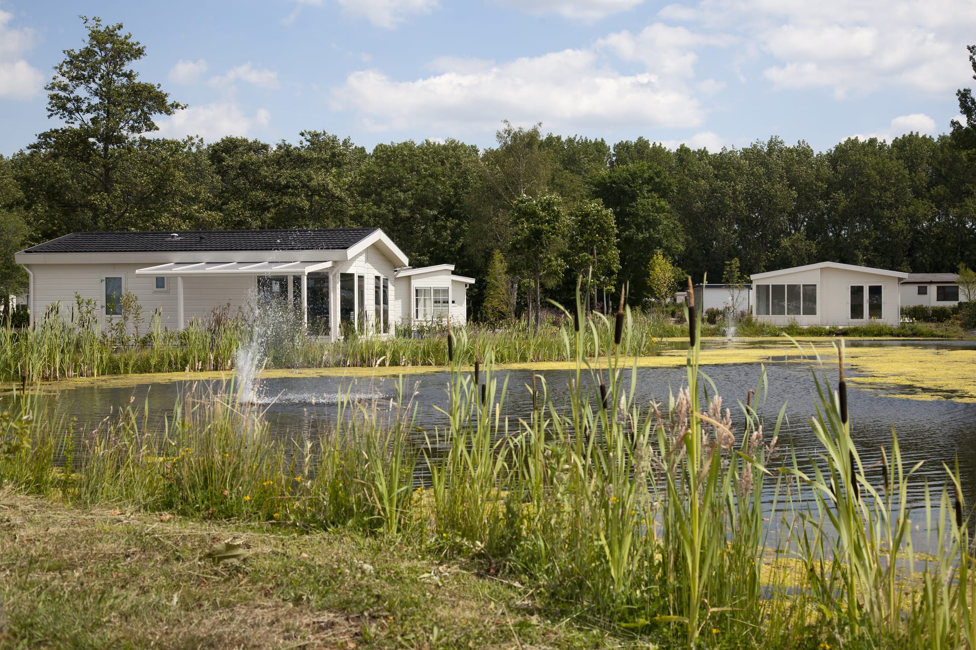EuroParcs De Biesbosch