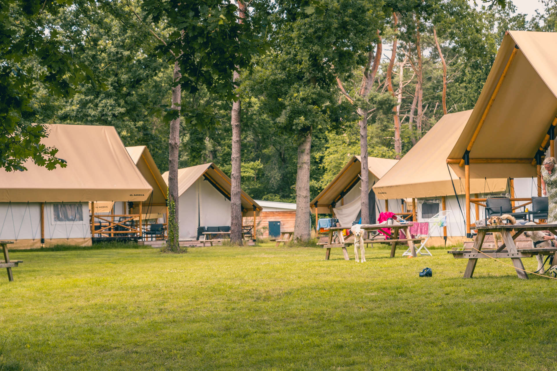 EuroParcs Reestervallei