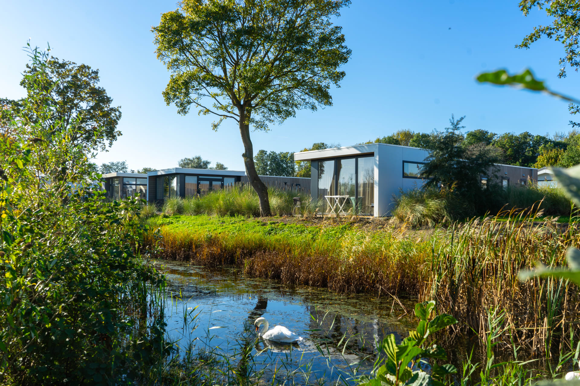 EuroParcs Poort van Zeeland