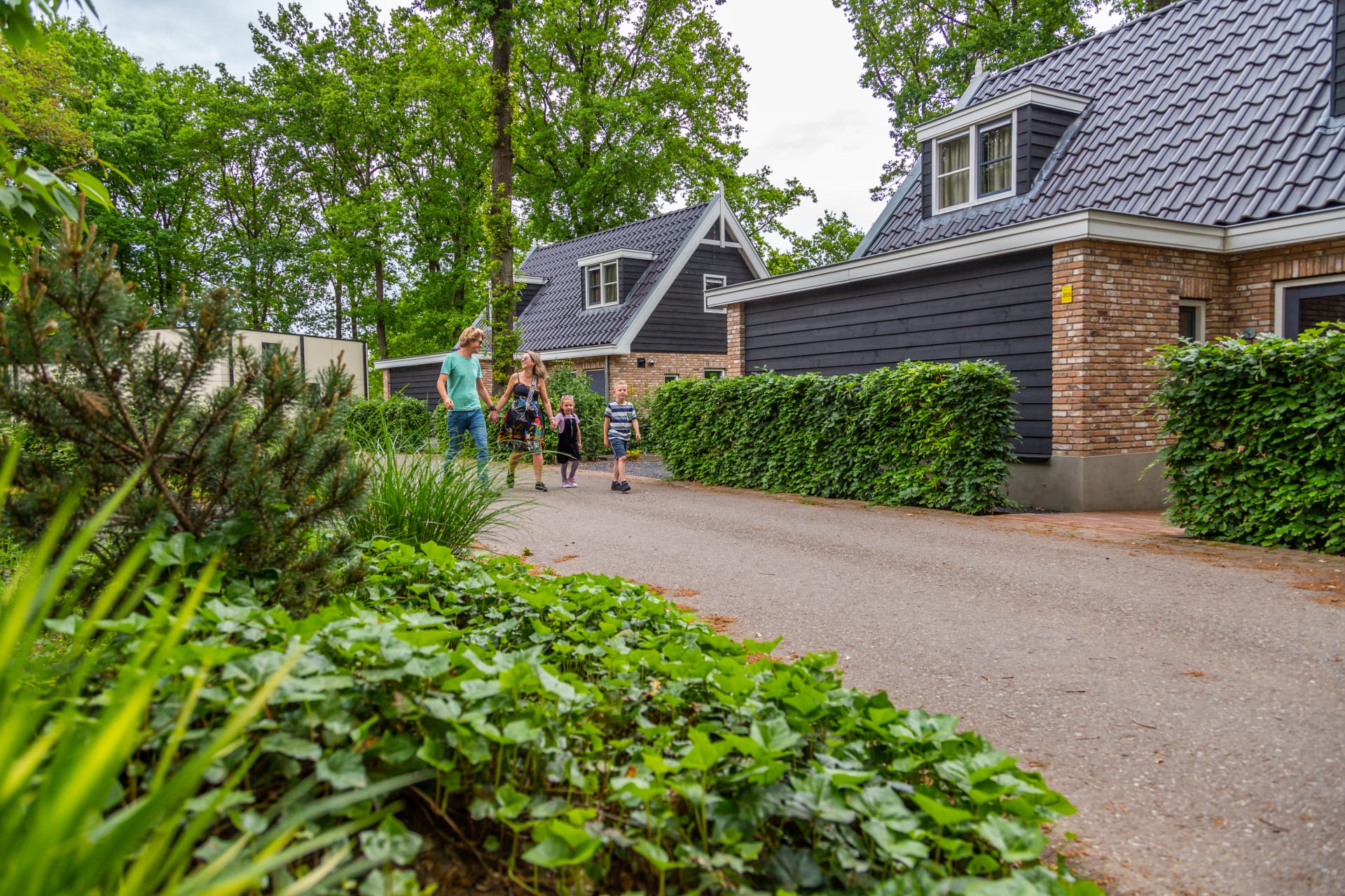 EuroParcs Maasduinen