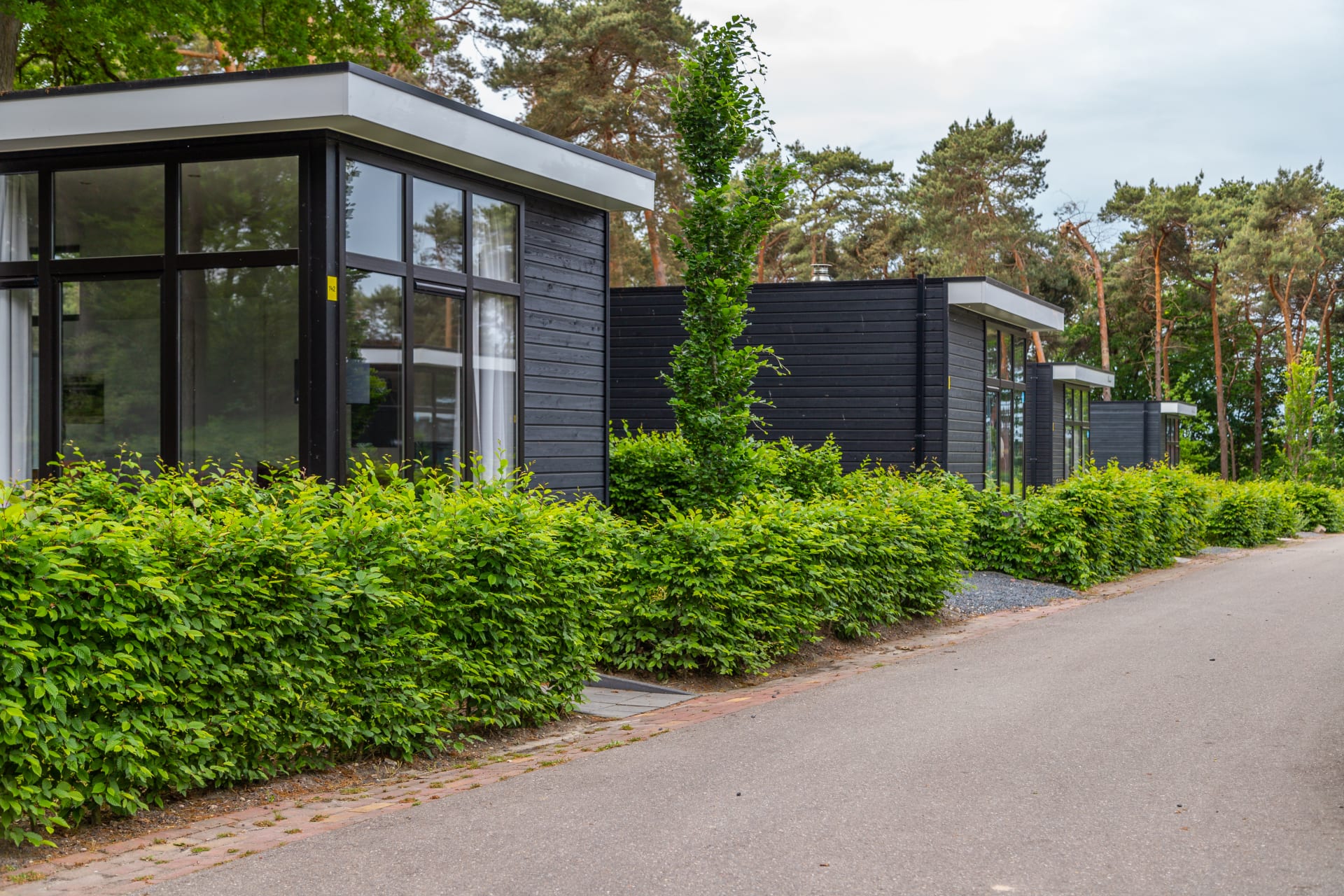 EuroParcs Maasduinen