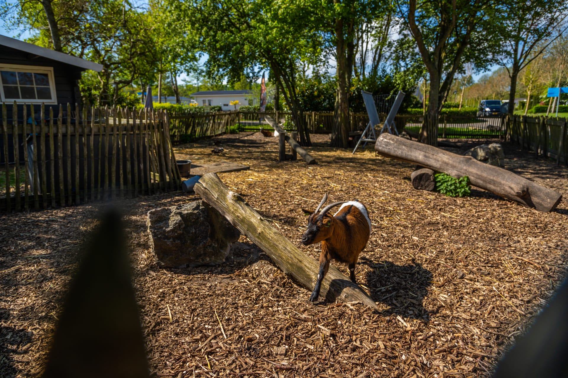EuroParcs Buitenhuizen