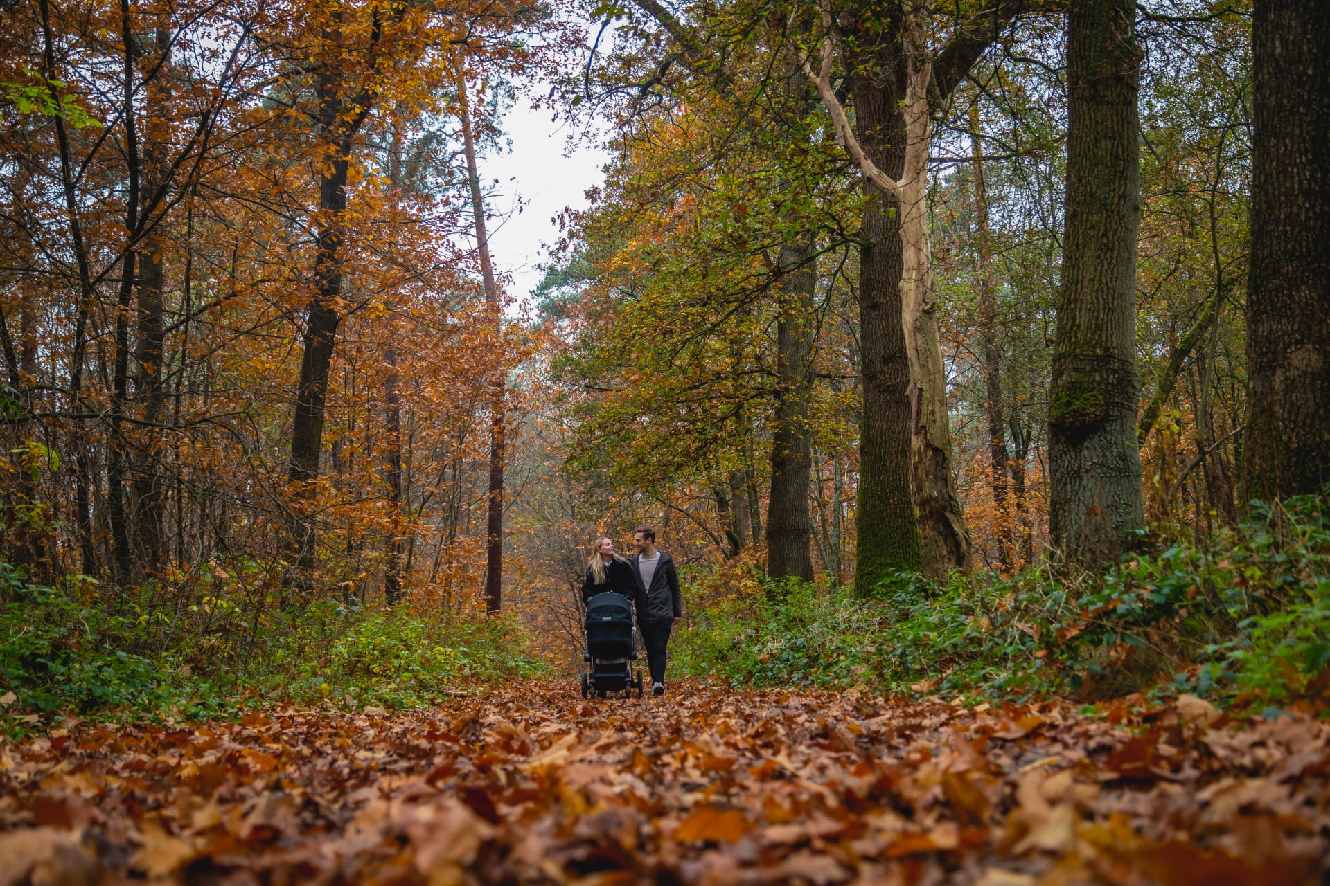 EuroParcs De Hooge Veluwe