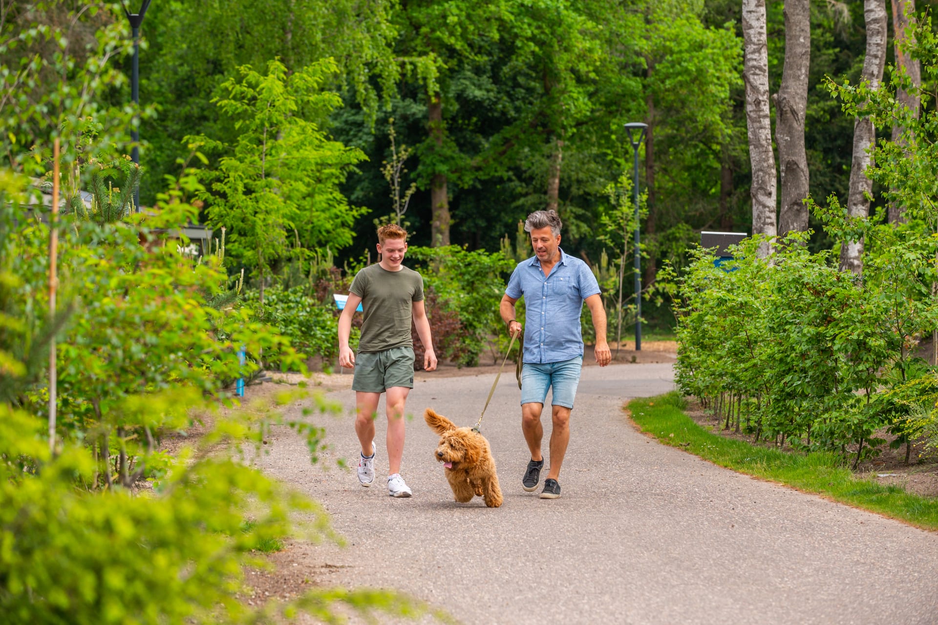EuroParcs De Hooge Veluwe