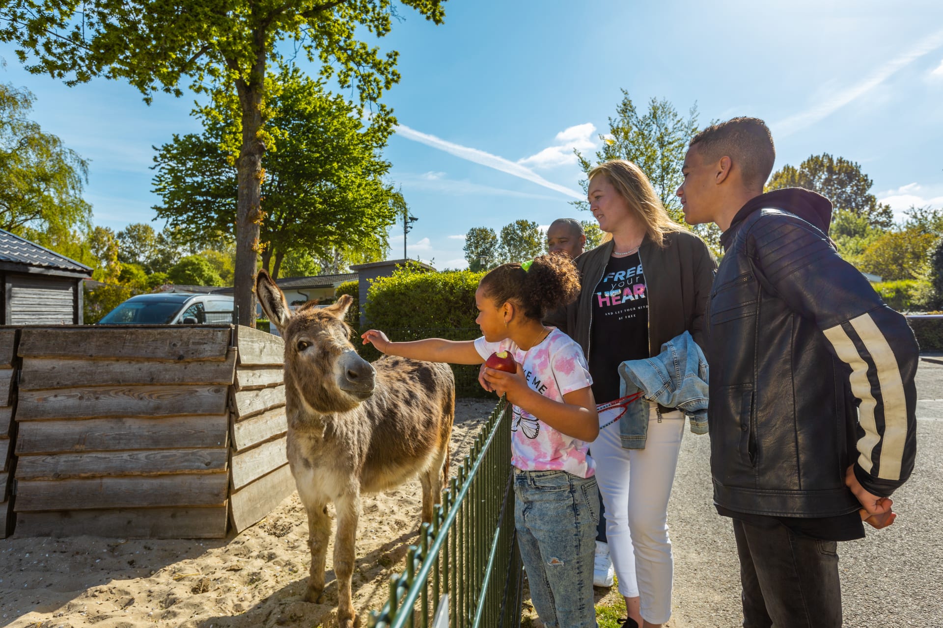 EuroParcs Molengroet