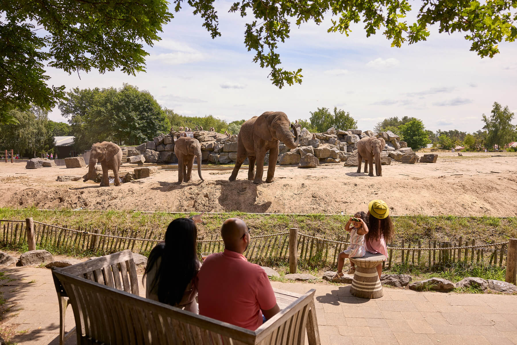 Dierentuin