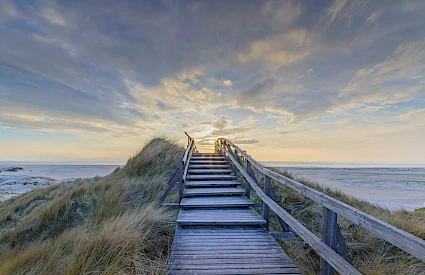 Waddeneilanden