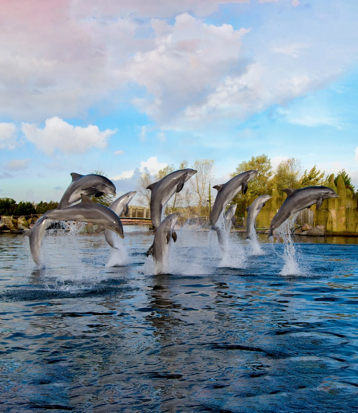 Dolfinarium