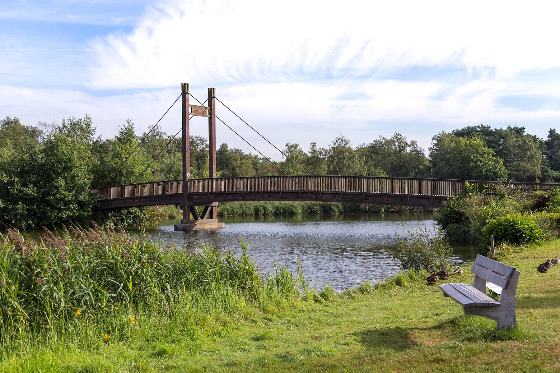 EuroParcs Zilverstrand