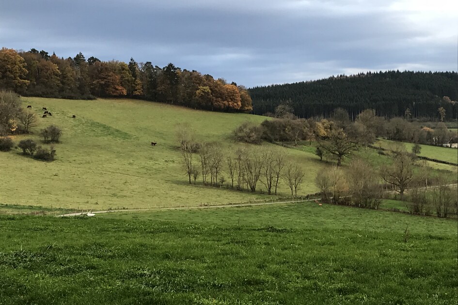 Rochefort en Ardenne