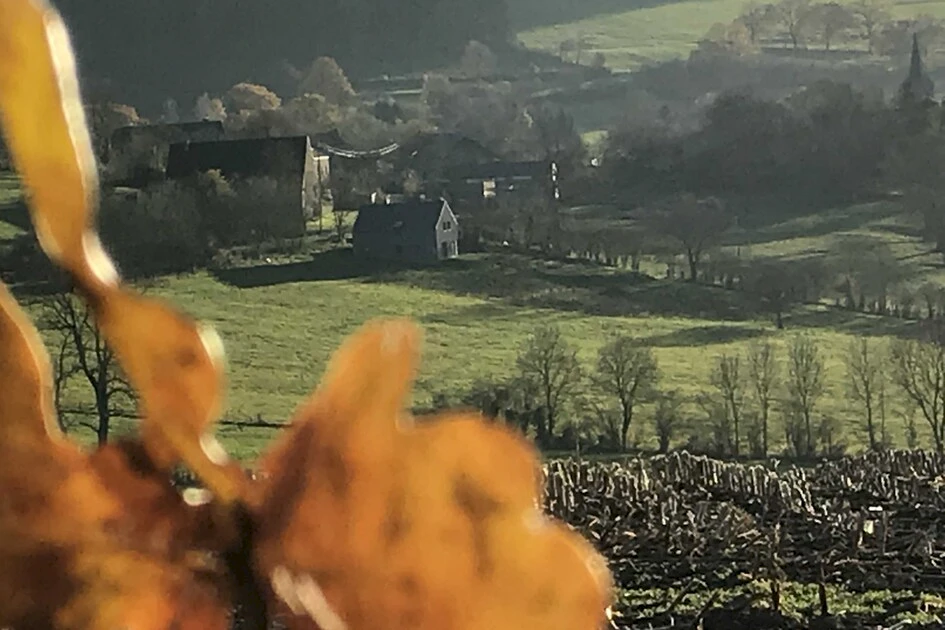 Rochefort en Ardenne