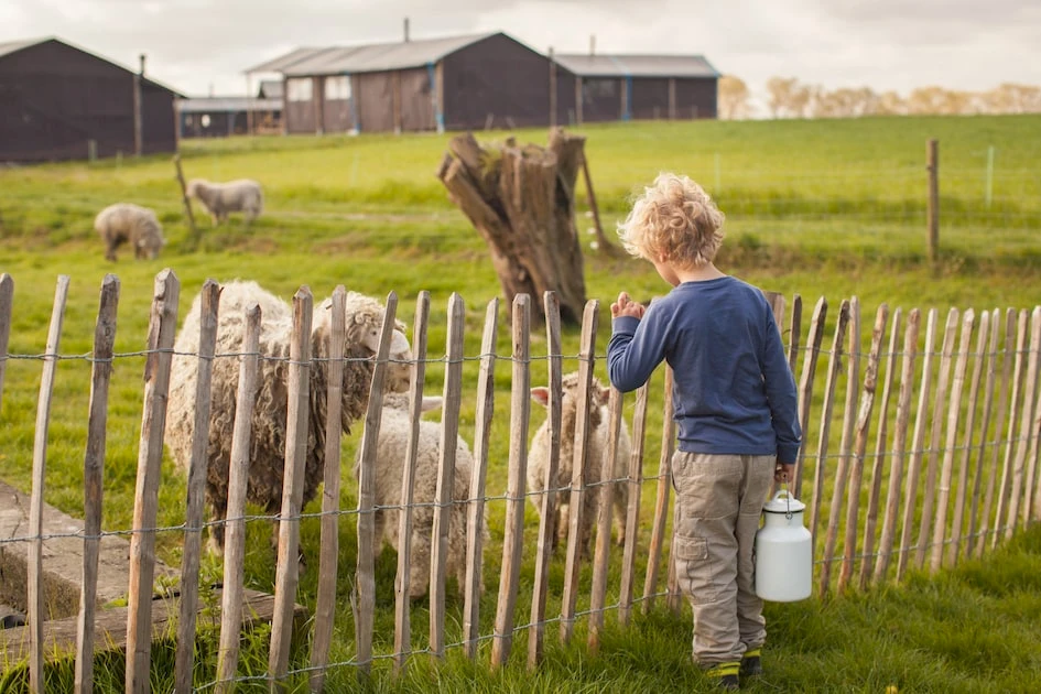 Hoeve den Overdraght