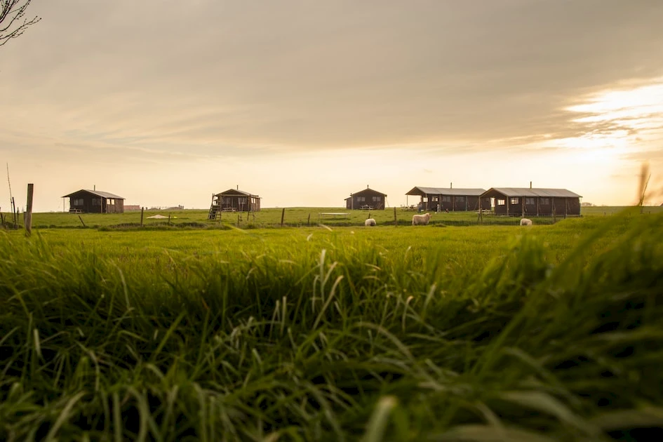 Hoeve den Overdraght