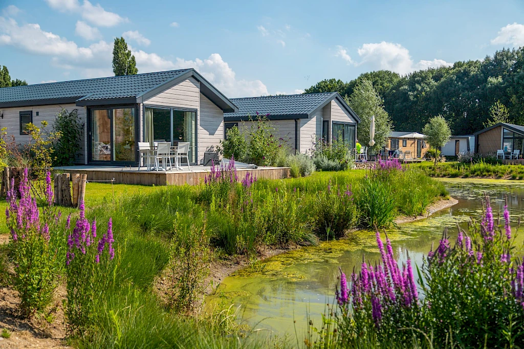 Europarcs last minute