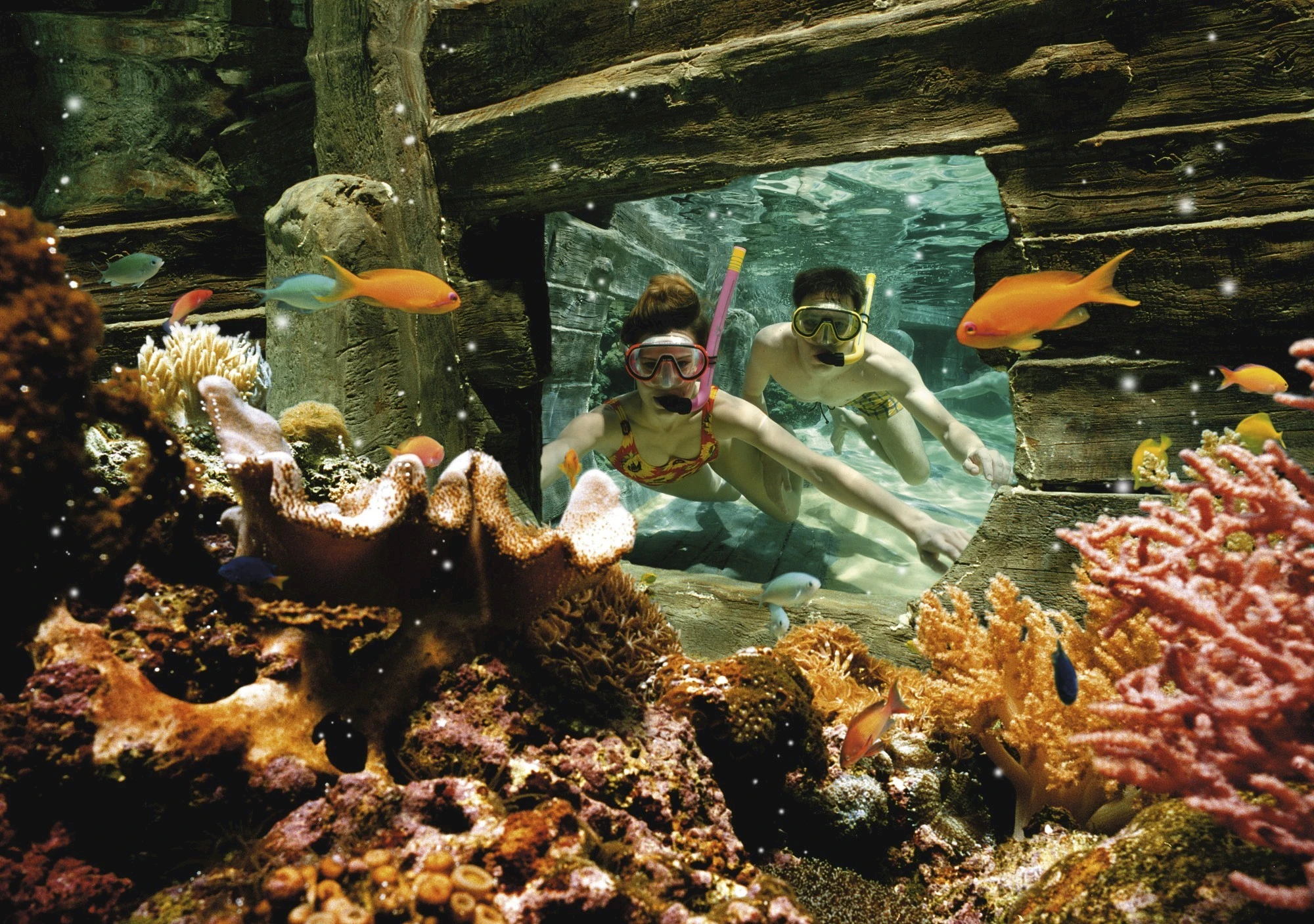 Aqua Mundo Kempervennen
