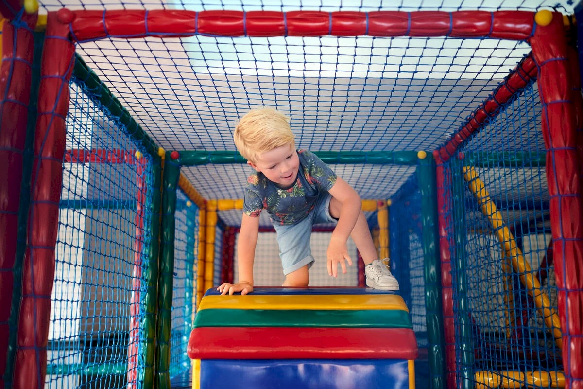 De IJsvogel