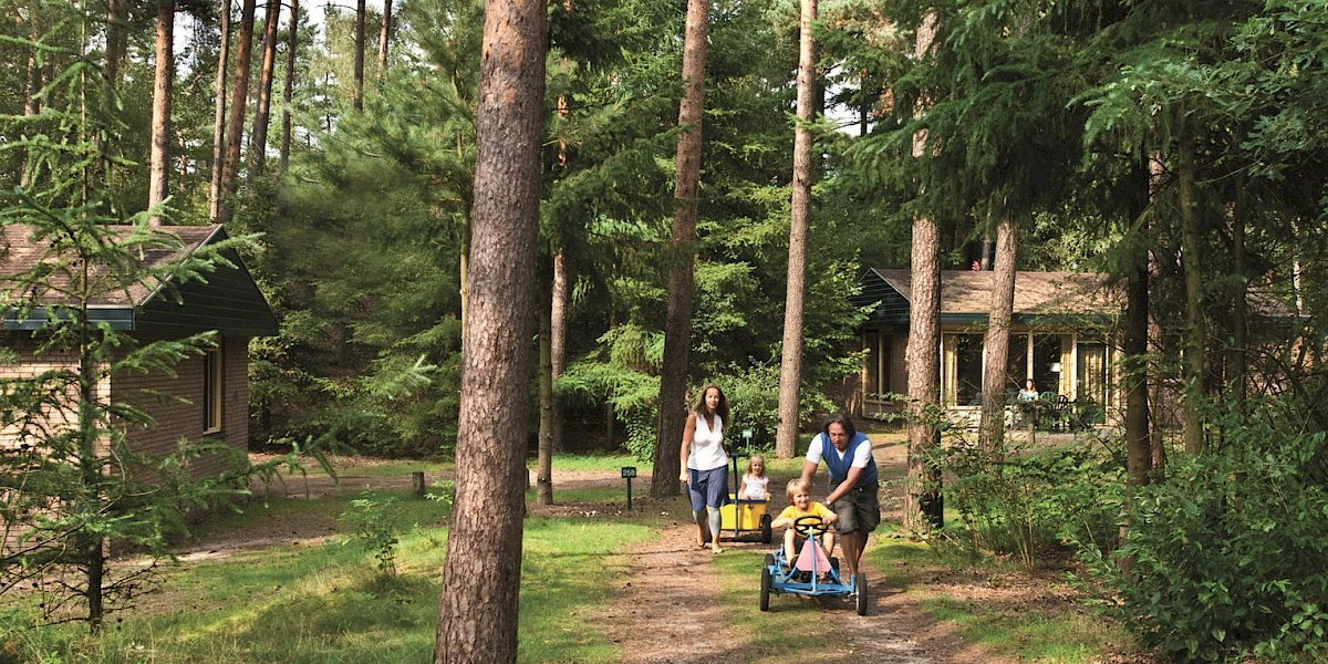 Landal last minute herfstvakantie Coldenhove